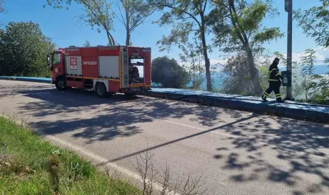 Sinop'ta yeşillik alanda yangın