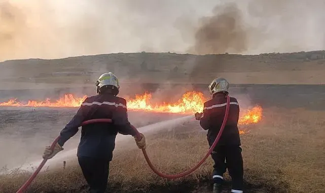 Cezayir'de son 24 saatte 6 bölgede 72 orman yangını