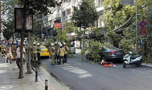 Nişantaşı'nda çınar ağacı iki aracın üzerine devrildi