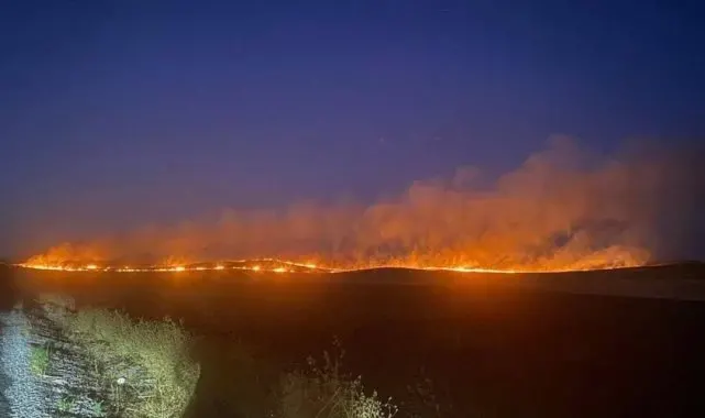 Siirt'te çıkan anız yangını yerleşim yerine sıçramadan söndürüldü