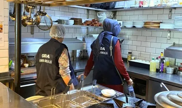 Gıda işletmelerine yönelik denetim