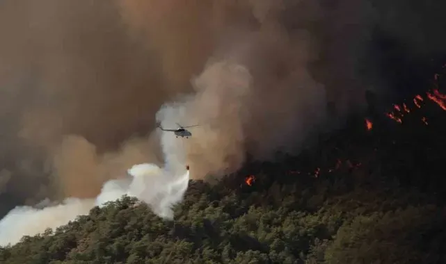 Muğla'da 385 orman yangınında bin 148 hektar alan yandı