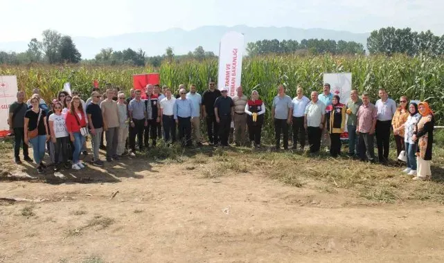Düzce'de yerli silajlık mısır tarla günü düzenlendi