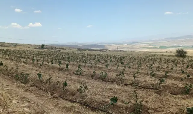Niğde'de üreticiye 80 milyon 964 bin destek sağlanacak