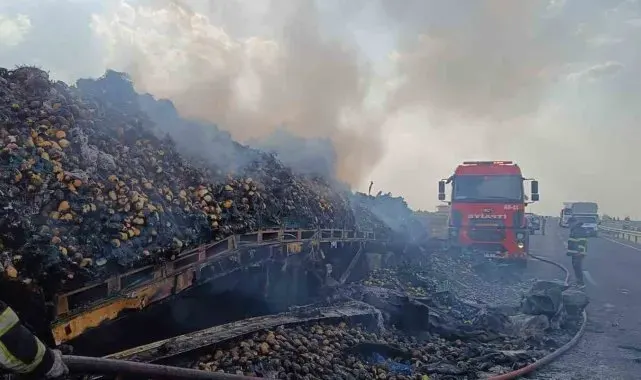 Mardin'de armut yüklü tır alevlere teslim oldu