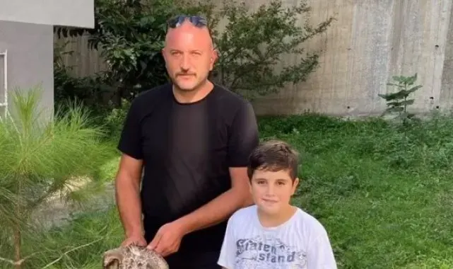 Sinop'ta tedavisi tamamlanan martı doğaya salındı
