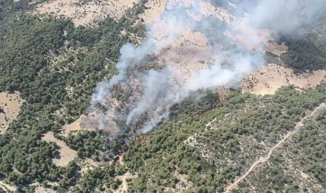 Kaş'taki orman yangını kontrol altına alındı