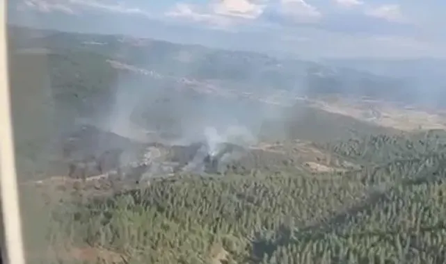 Bursa'da korkutan orman yangını