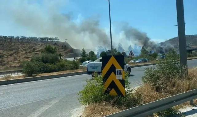 Milas'taki orman yangını kontrol altına alındı