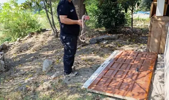 İskenderun'da eve giren yılanı itfaiye ekipleri yakaladı
