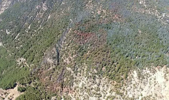 Kumluca'daki orman yangını kontrol altına alındı