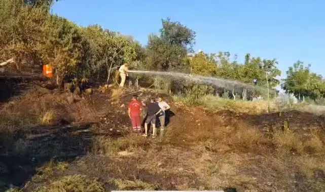 Denizli'de çıkan yangın ormana sıçramadan söndürüldü