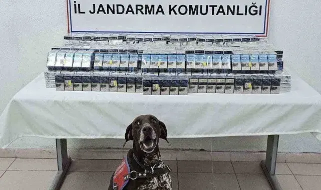 Ağrı'da binlerce paket kaçak sigara ele geçirildi