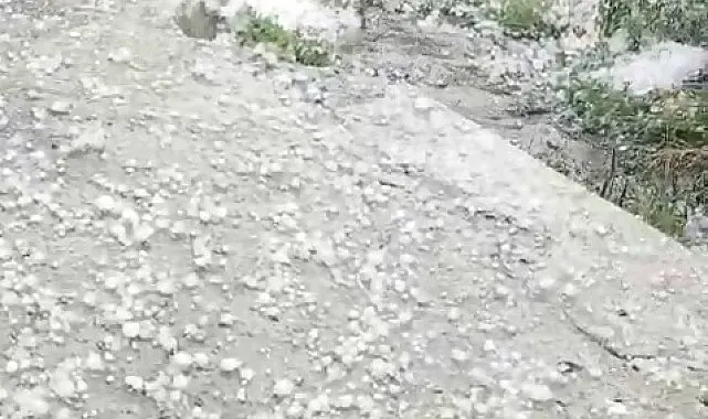 Ardahan'da dolu yağışı etkili oldu