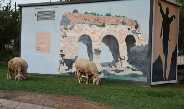 Doğurganlık hızının hızla düştüğü Aydın'da parklar koyunlara kaldı