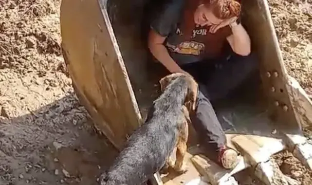 Dereye düşen köpek iş makinesinin kepçesi ile kurtarıldı
