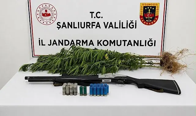 Şanlıurfa'da uyuşturucu madde ele geçirildi: 1 gözaltı
