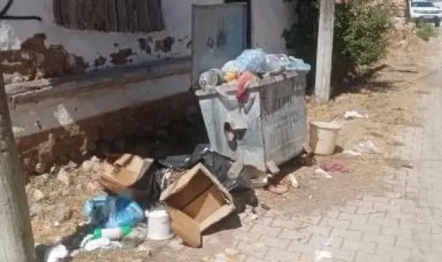 Alpu'da toplanmayan çöplere tepki