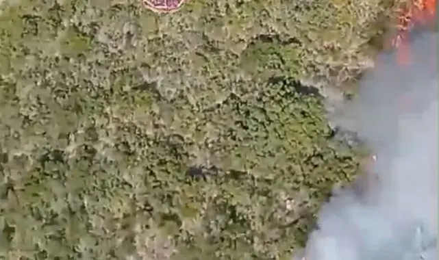 Urla'da orman yangını