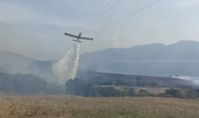 Paşalimanı Adası'nda yangın...Karadan ve havadan müdahale sürüyor