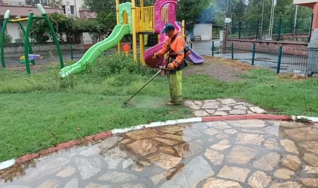 Bartın'da parklara kış bakımı