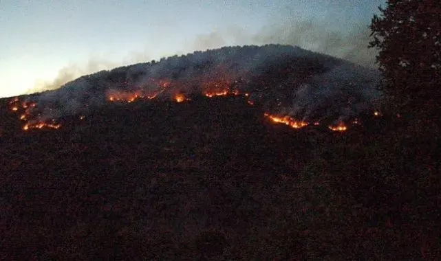 Bitlis'teki orman yangınları kontrol altına alındı