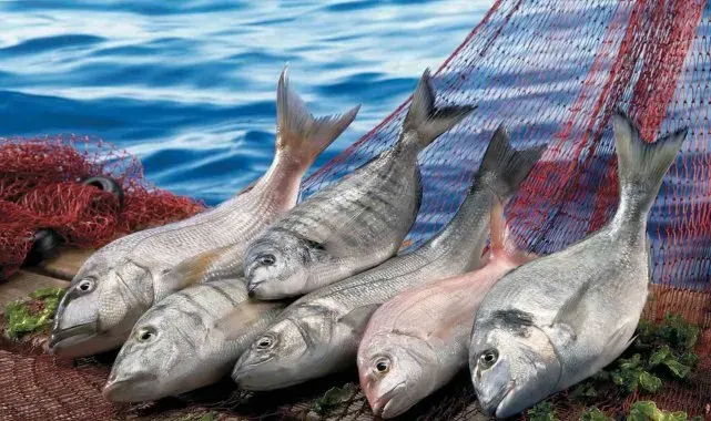 Muğla'nın Ağustos ayı ihracatı 94 milyon dolar