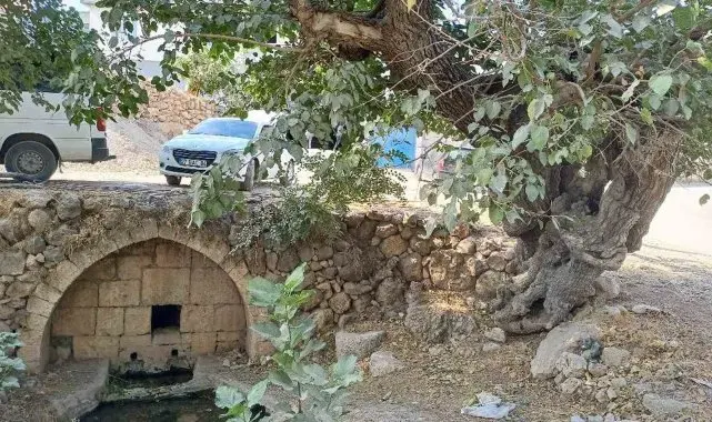 Araban'daki Roma dönemine ait tarihi çeşmeler kurtarılmayı bekliyor