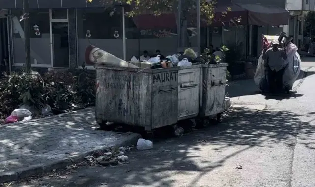 İstanbul'da çöp konteyneri içinde yeni doğmuş erkek bebek bulundu