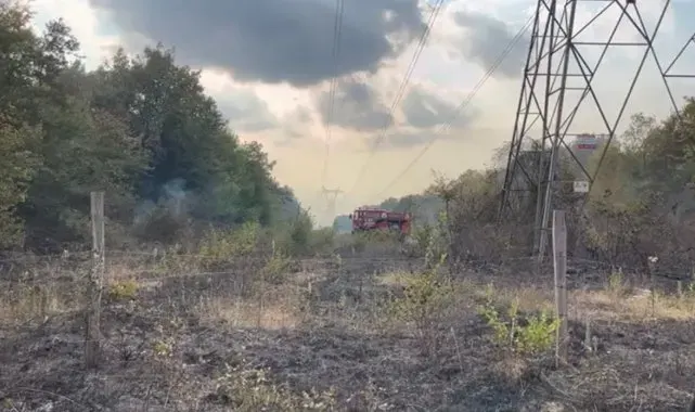Sakarya'da boş arazide yangın