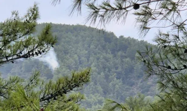 Muğla'da yıldırım kaynaklı orman yangınları meydana geldi