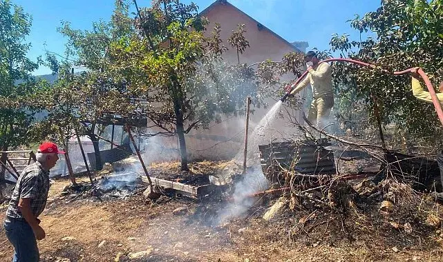 Alanya'da zirai alan yangınında 4 dönüm alan zarar gördü