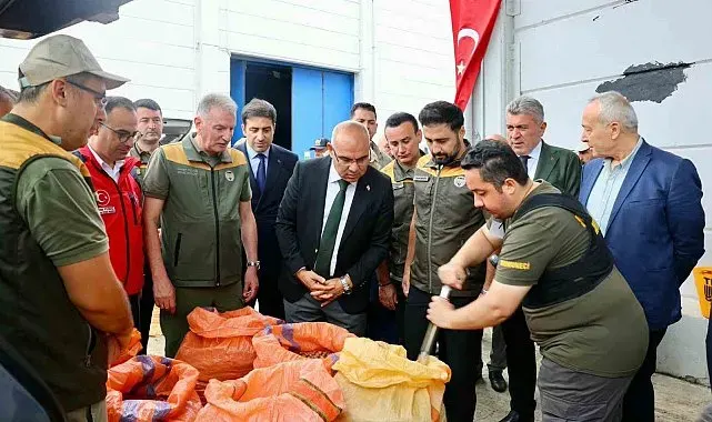 TMO, Giresun'da fındık alımına başladı