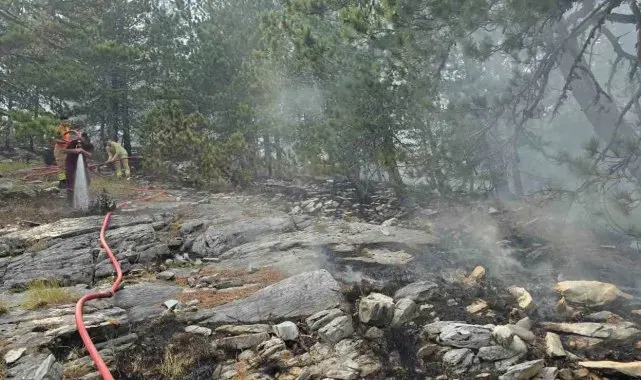 Kazdağları'nda yangına havadan müdahale sürüyor