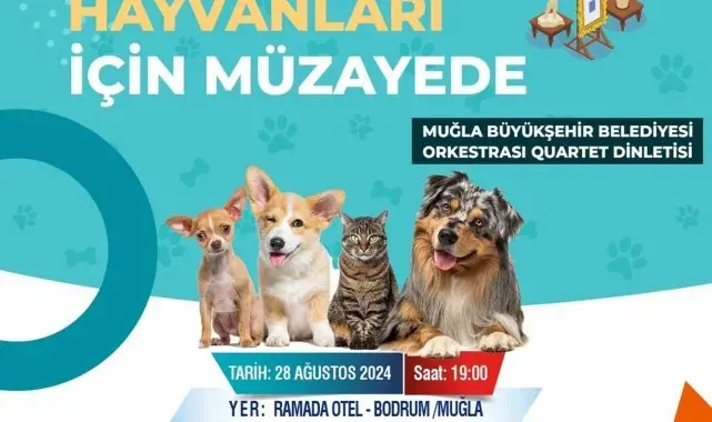 Muğla Büyükşehirden sokak hayvanları yararına müzayede