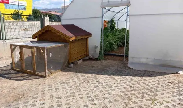 Erzincan'da okuldaki çiftlik büyümeye devam ediyor