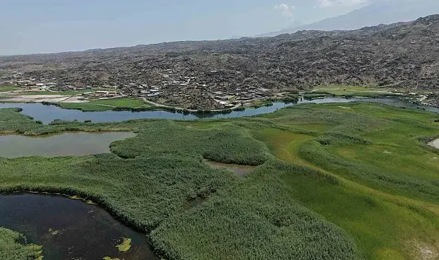 Kartpostallık Karasu sazlığı havadan görüntülendi