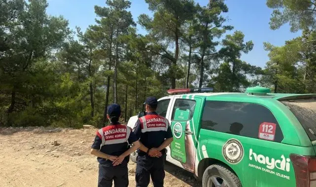Çine'de doğal yaşam alanları kontrol edildi