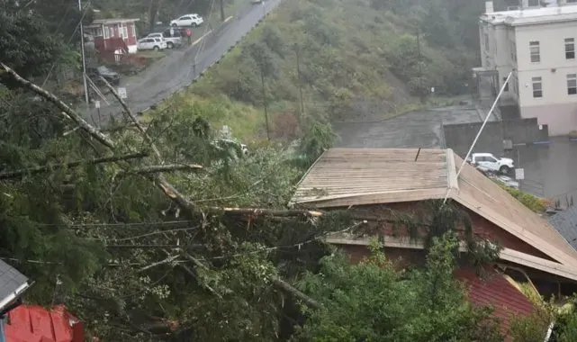 Alaska'da toprak kayması: 1 ölü