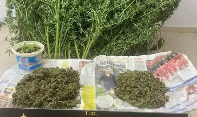 Edirne'de uyuşturucu operasyonu: 2 şüpheli tutuklandı