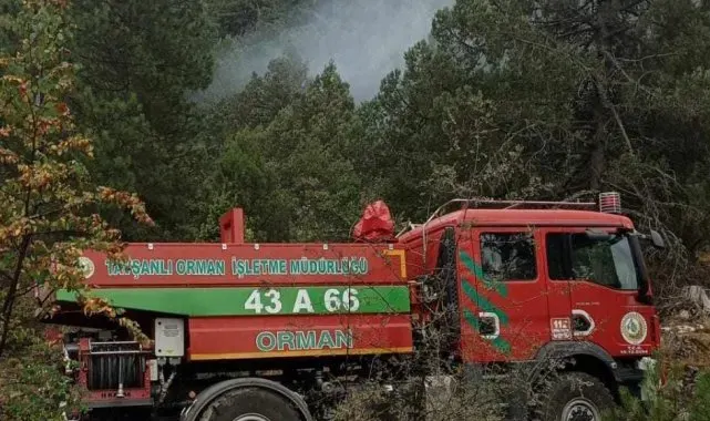 Ormanlık alana düşen yıldırım yangına neden oldu
