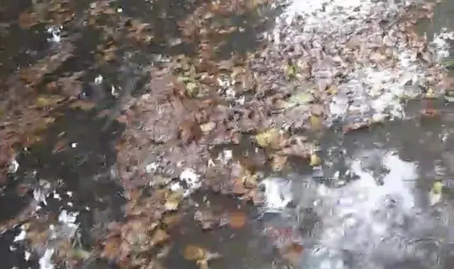 Çarşamba'da sağanak