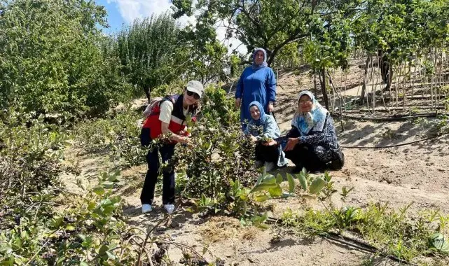 Kütahya'da ahududu üreticisi kadınlar Bursa Tarım İşletmesinde