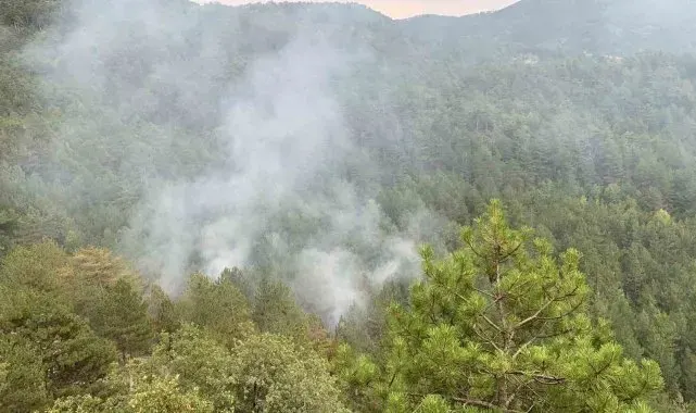 Karabük'te düşen yıldırım orman yangını çıkardı