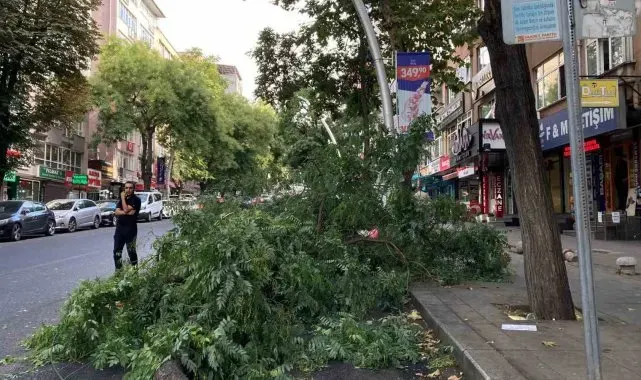 Ağaç dalının araçların üzerine düştüğü anlar kameraya yansıdı