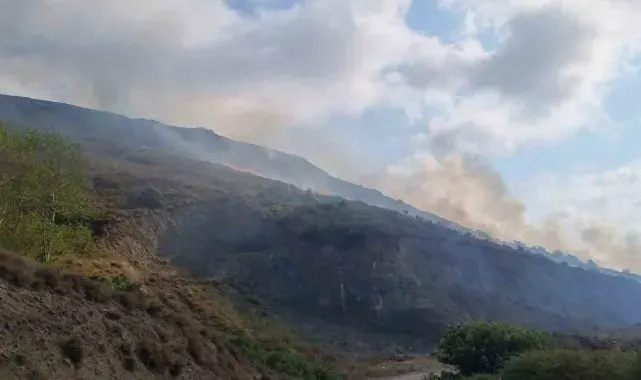 Sinop'ta örtü yangınında 5 hektar alan zarar gördü