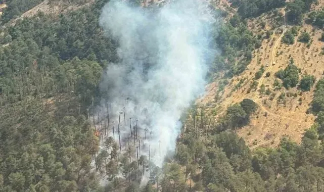 Kuyucak'ta orman yangını