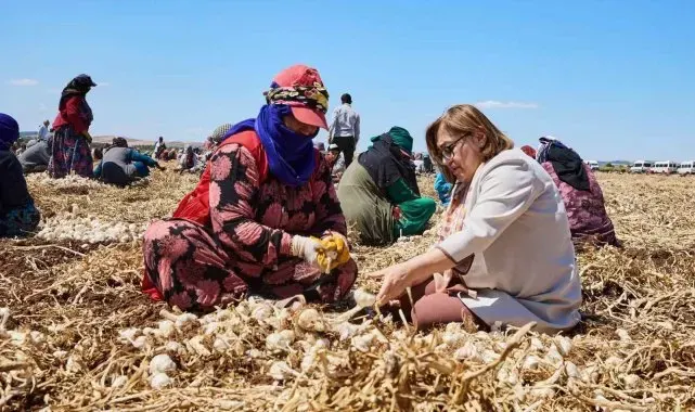 Çiftçiye 8 milyon 432 bin 925 litre mazot desteği verildi