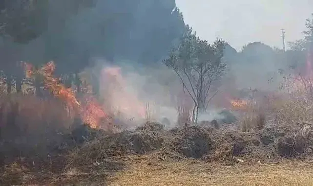 Otluk alanda çıkan yangın ormana ulaşmadan söndürüldü