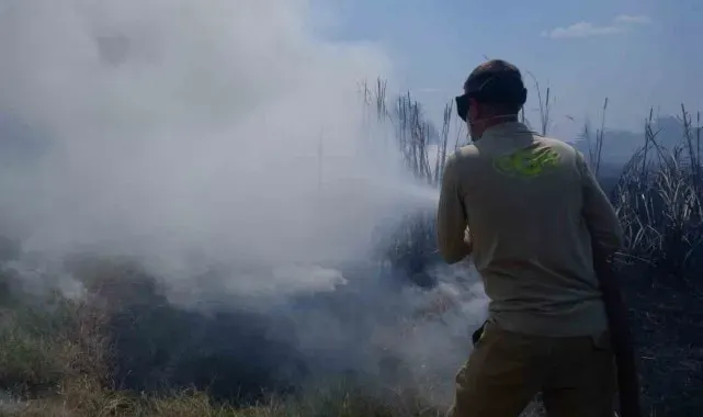 Edirne'de yürekleri ağza getiren yangın
